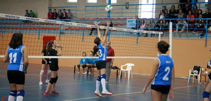 YeclaSport RDY Voleibol Corvera (33) portada