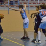 basket mini-10