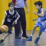 basket mini-11