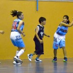 basket mini-12