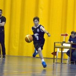 basket mini-13