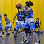 basket mini-14