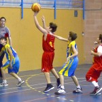 basket mini-20