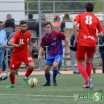 YeclaSport Yeclano B Alberca (8)