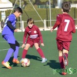 YeclaSport_AlevinACiudad_BoscoCieza-(19)