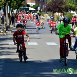 YeclaSport_DiaDeLaBicicleta2016-(72)