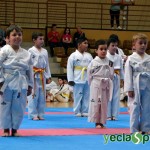 YeclaSport_Exhibicion_Taekwondo-(13)