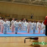 YeclaSport_Exhibicion_Taekwondo-(14)