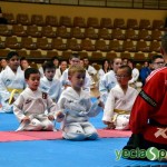 YeclaSport_Exhibicion_Taekwondo-(15)