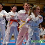 YeclaSport_Exhibicion_Taekwondo-(18)