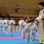 YeclaSport_Exhibicion_Taekwondo-(27)