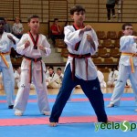 YeclaSport_Exhibicion_Taekwondo-(30)