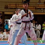 YeclaSport_Exhibicion_Taekwondo-(41)