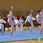 YeclaSport_Exhibicion_Taekwondo-(44)