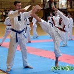 YeclaSport_Exhibicion_Taekwondo-(46)