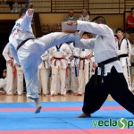 YeclaSport_Exhibicion_Taekwondo-(48)