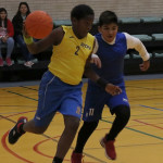 YeclaSport_Mini-Basket-(18)