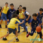 YeclaSport_Mini-Basket-(30)