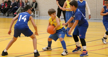 YeclaSport_Mini Basket (5)